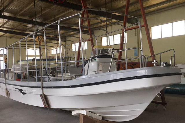 بانجا بوت 11