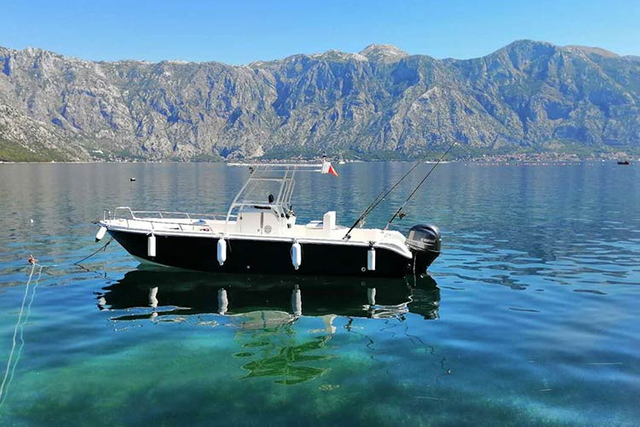 قارب صيد احترافي مع مقصورة أو نوع مفتوح مع أعلى أو قمة صلبة 9